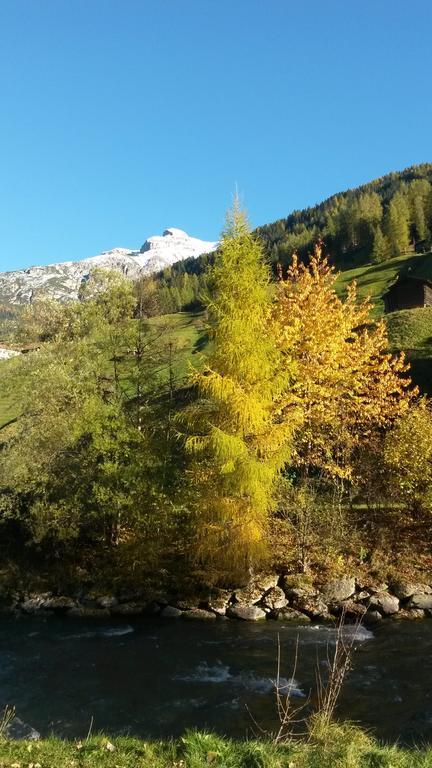 Haus Harbauer Apartment Neustift im Stubaital Bagian luar foto
