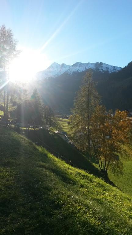 Haus Harbauer Apartment Neustift im Stubaital Bagian luar foto