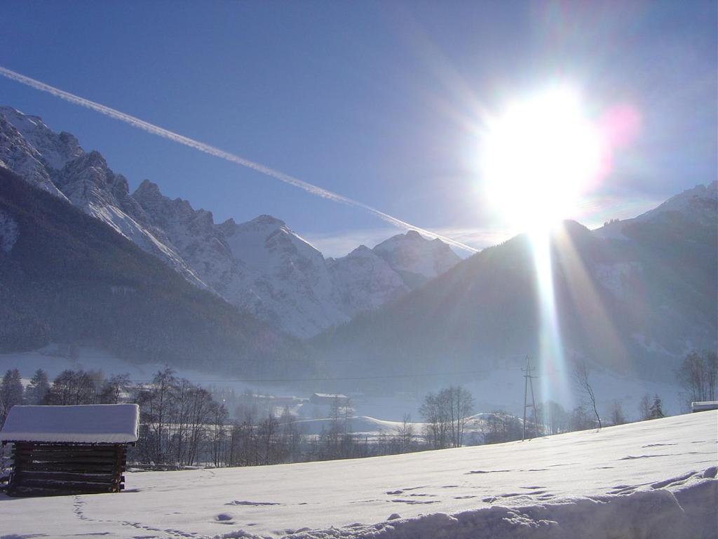 Haus Harbauer Apartment Neustift im Stubaital Bagian luar foto