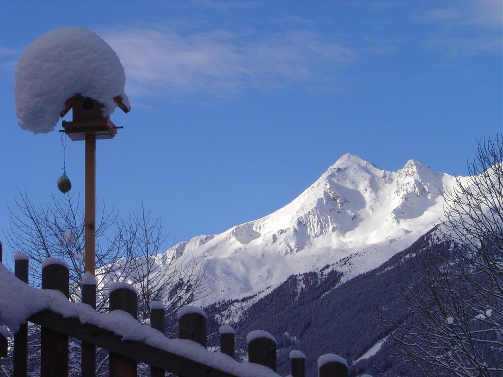 Haus Harbauer Apartment Neustift im Stubaital Bagian luar foto